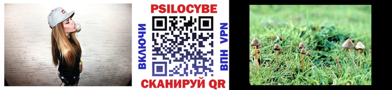 хочу наркоту  Кыштым  Псилоцибиновые грибы MAGIC MUSHROOMS 